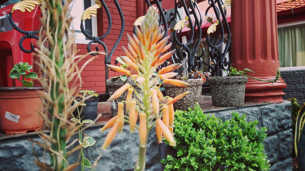 Gold Guest House 고니오 외부 사진
