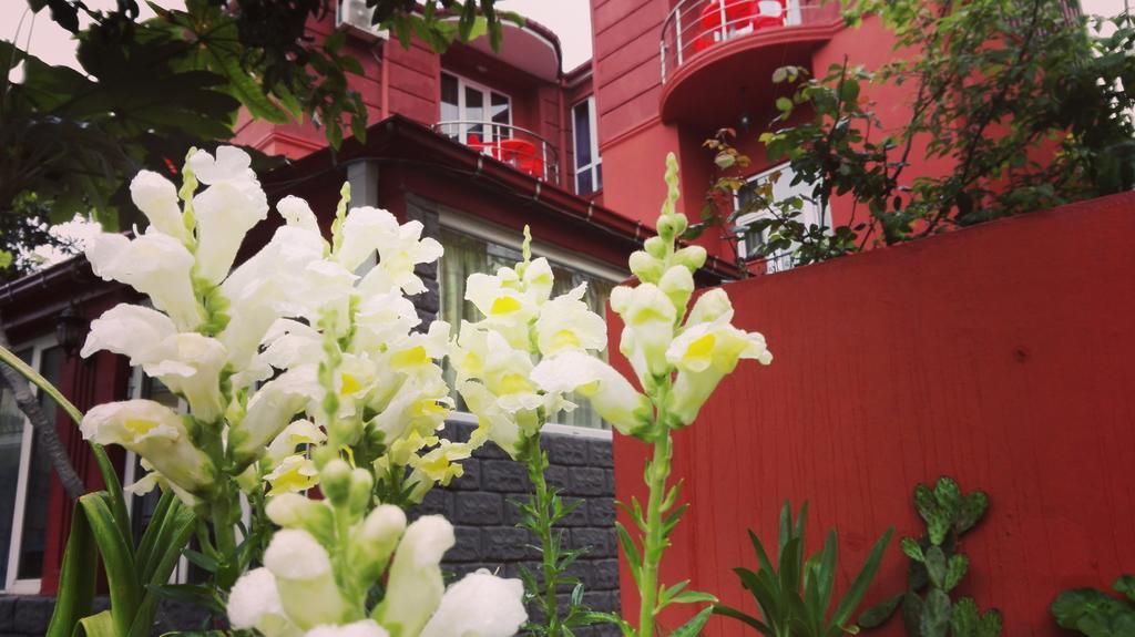 Gold Guest House 고니오 외부 사진
